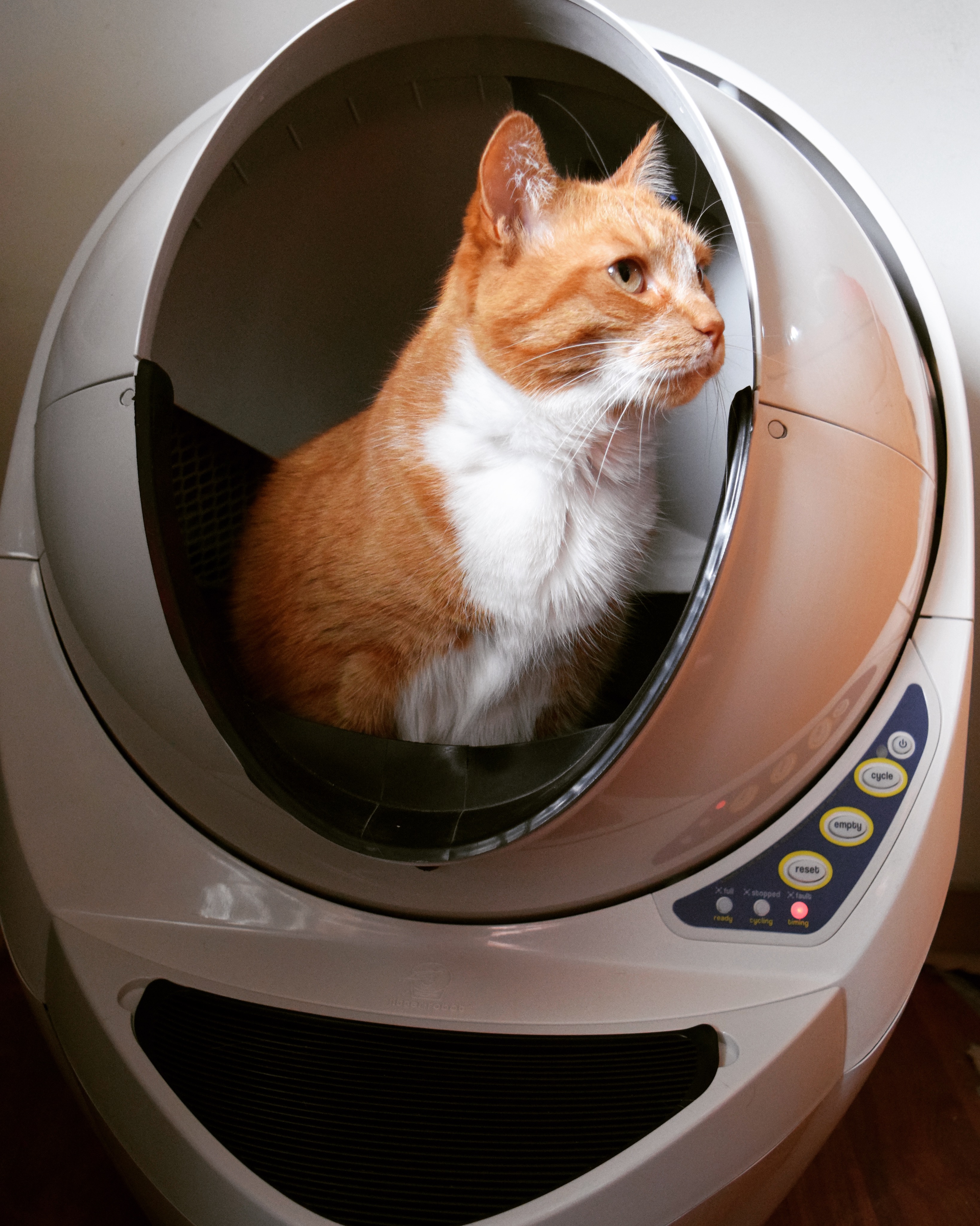 litter robot 3 manual